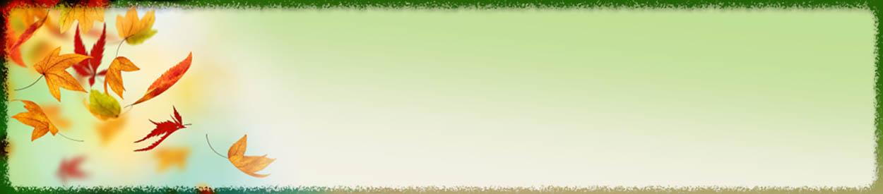 Gratitude, Grace and Growth